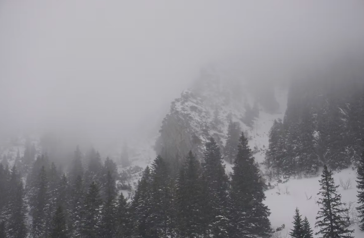 ohne Titel, AV-F-013