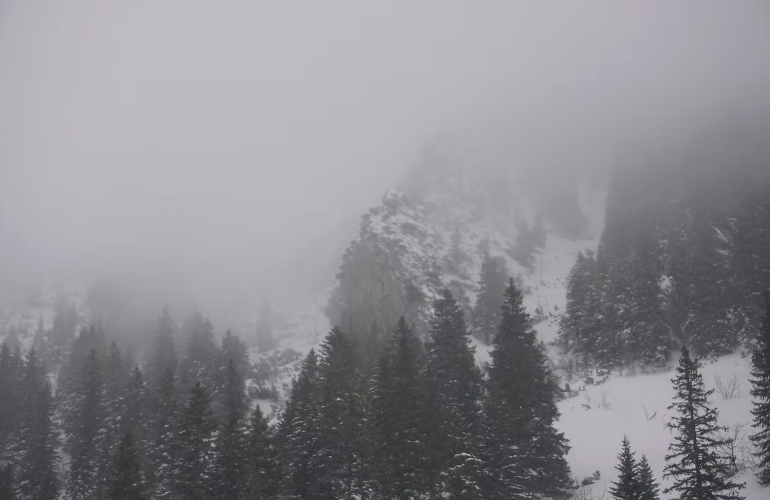 ohne Titel, AV-F-Nr.013