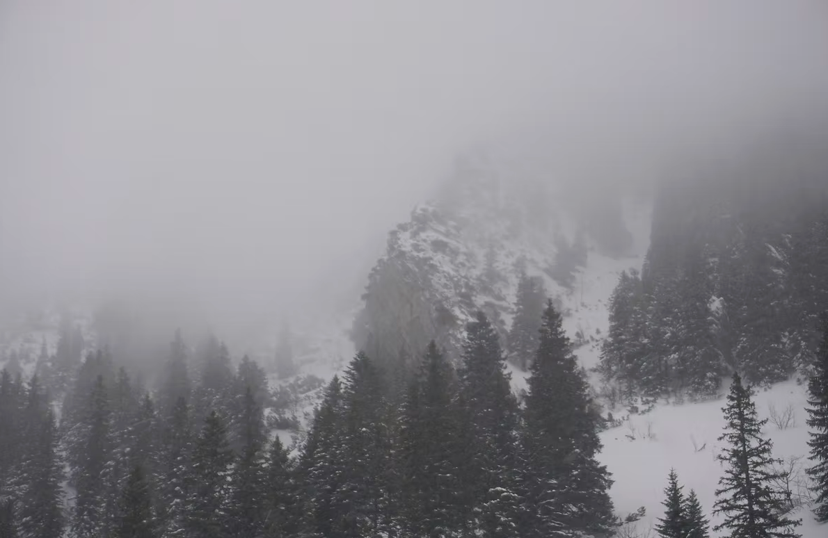 ohne Titel, AV-F-Nr.013