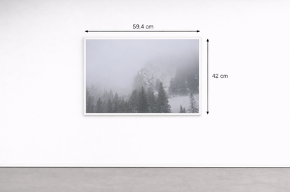 ohne Titel,  Fine Art Print auf Alu-Dibond 84,1 x 59,4 cm, AV-F-Nr.013