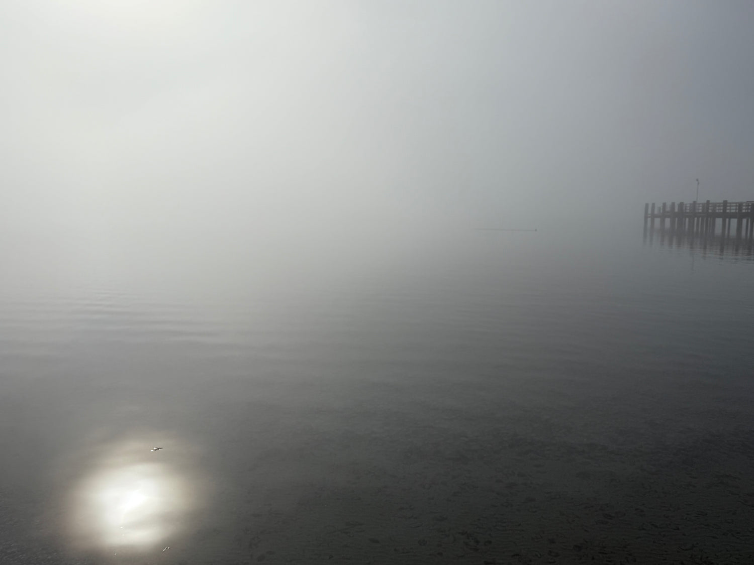 ohne Titel,  AV-F-Nr.003