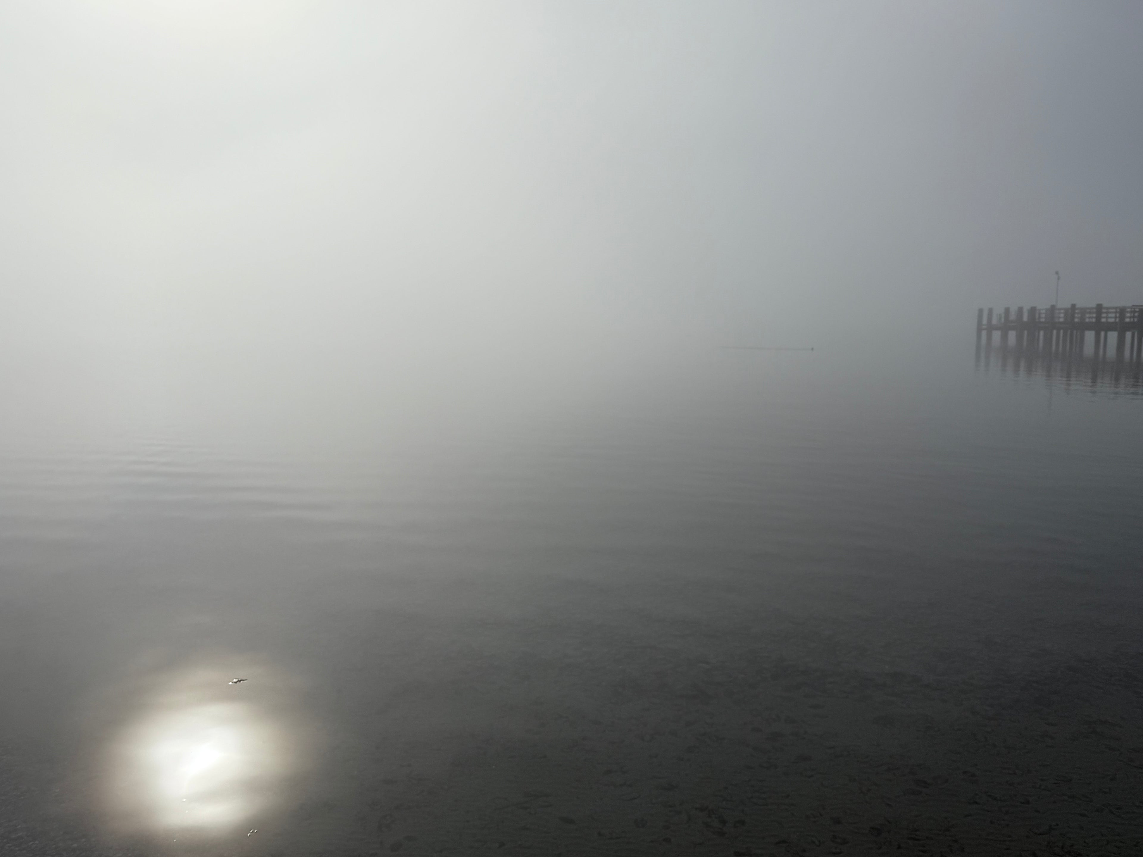 ohne Titel,  AV-F-Nr.003