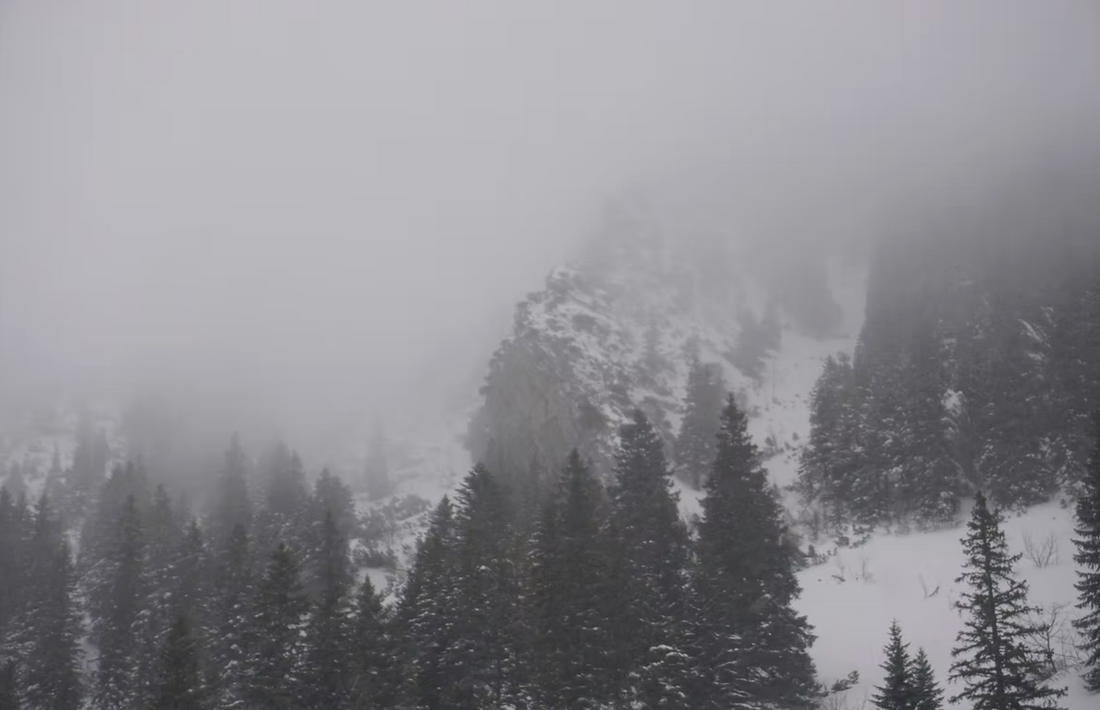 ohne Titel,  Fine Art Print auf Alu-Dibond 84,1 x 59,4 cm, AV-F-Nr.013